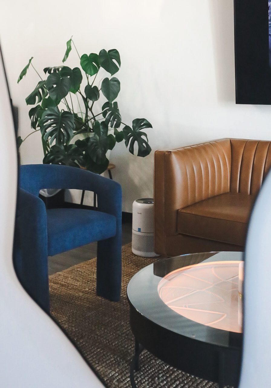 Modern living room with plants and furniture